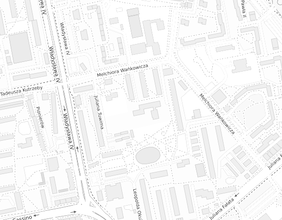 Mapa z adresem organizacji