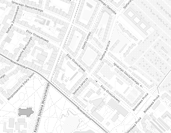 Mapa z adresem organizacji
