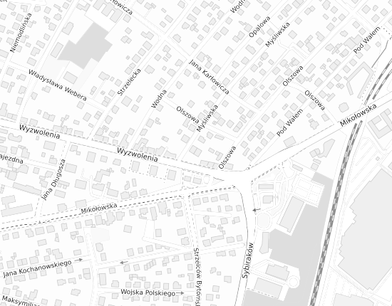 Mapa z adresem organizacji