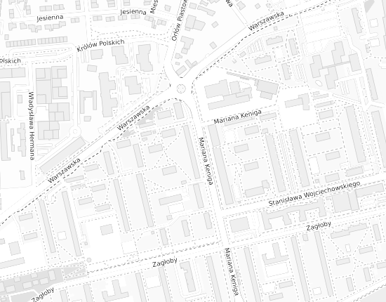 Mapa z adresem organizacji
