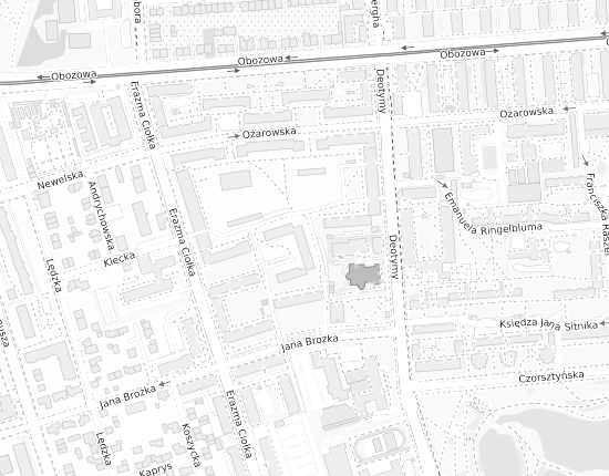 Mapa z adresem organizacji