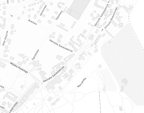Mapa z adresem organizacji