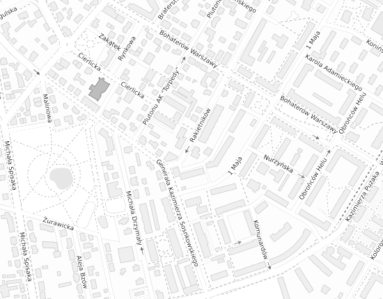 Mapa z adresem organizacji