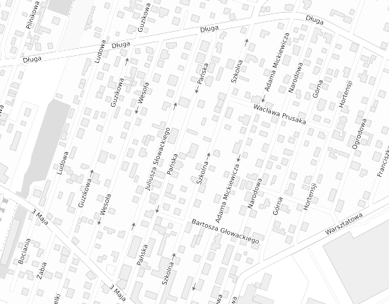 Mapa z adresem organizacji