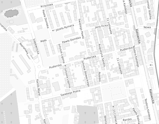 Mapa z adresem organizacji