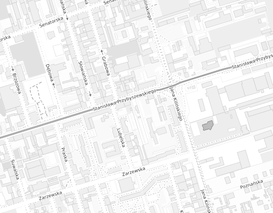 Mapa z adresem organizacji