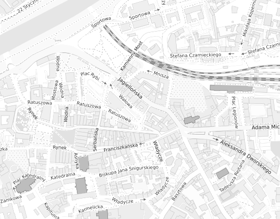 Mapa z adresem organizacji