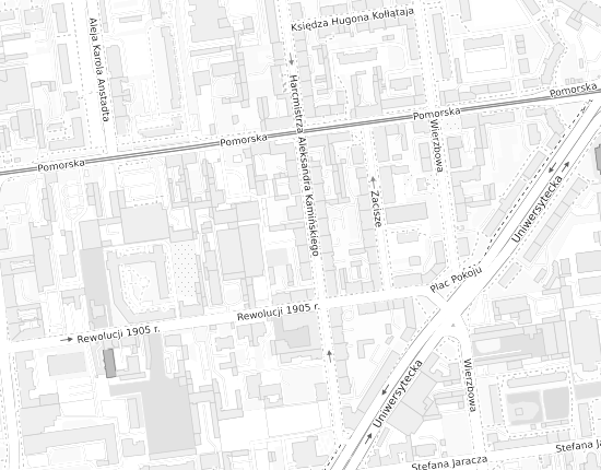 Mapa z adresem organizacji