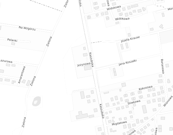 Mapa z adresem organizacji
