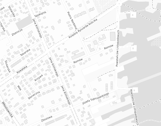 Mapa z adresem organizacji