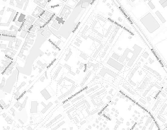 Mapa z adresem organizacji
