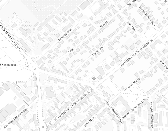 Mapa z adresem organizacji