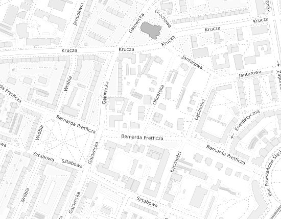 Mapa z adresem organizacji