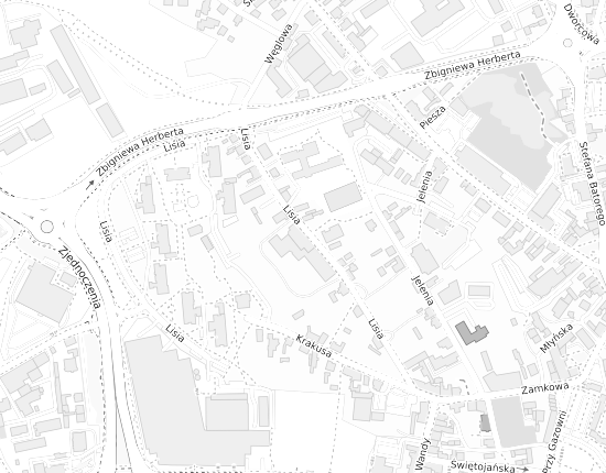 Mapa z adresem organizacji