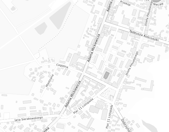 Mapa z adresem organizacji