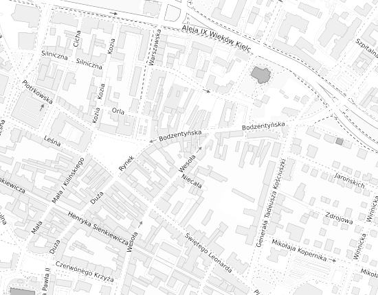 Mapa z adresem organizacji