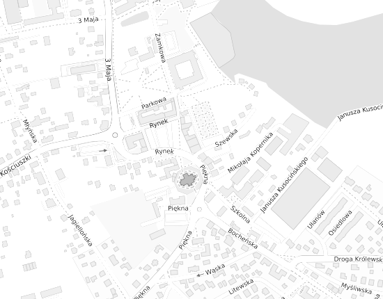 Mapa z adresem organizacji
