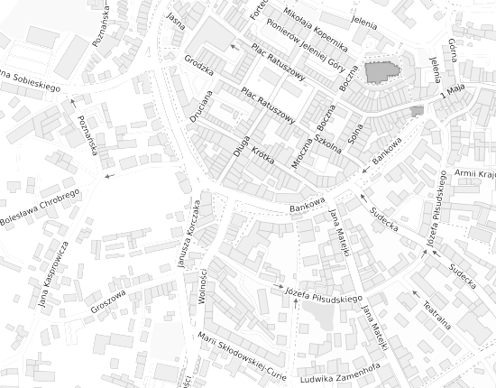 Mapa z adresem organizacji