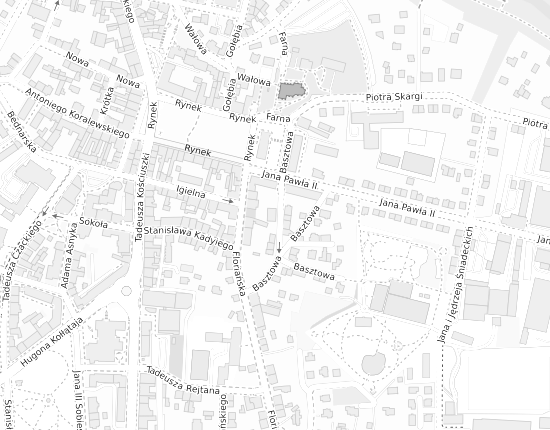 Mapa z adresem organizacji