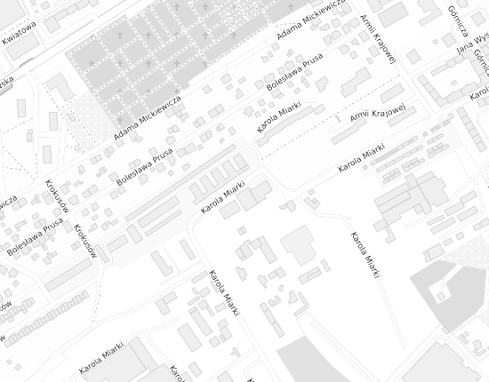 Mapa z adresem organizacji