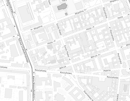 Mapa z adresem organizacji