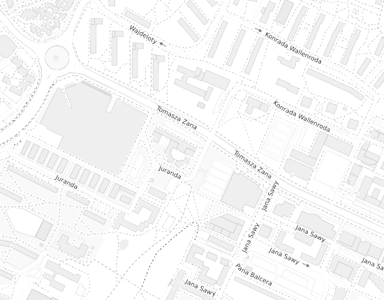 Mapa z adresem organizacji