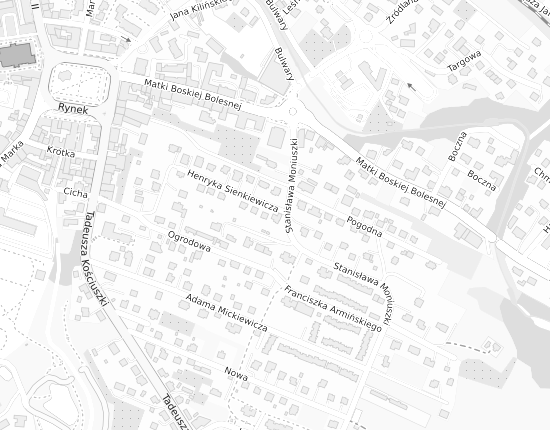 Mapa z adresem organizacji