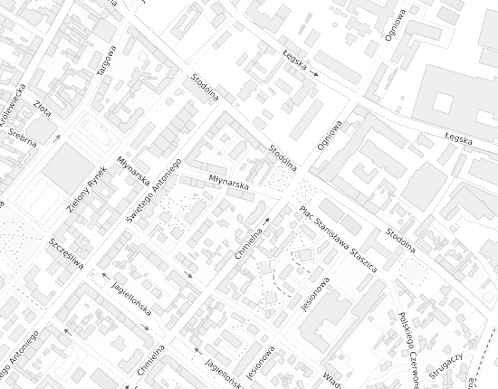 Mapa z adresem organizacji