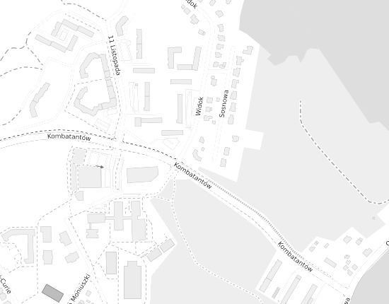Mapa z adresem organizacji