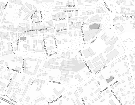 Mapa z adresem organizacji