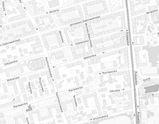 Mapa z adresem organizacji