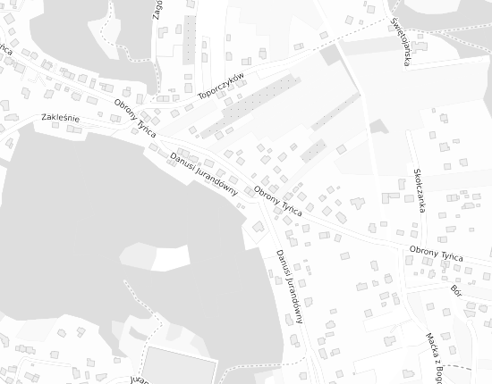 Mapa z adresem organizacji