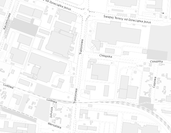 Mapa z adresem organizacji