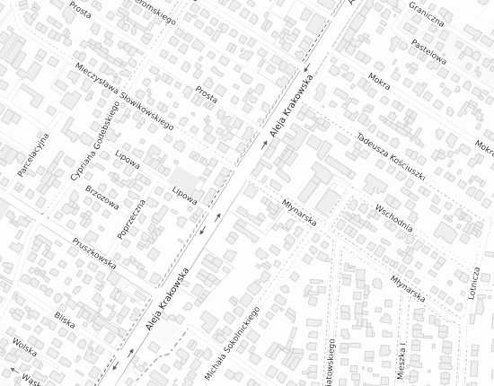 Mapa z adresem organizacji
