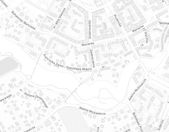 Mapa z adresem organizacji