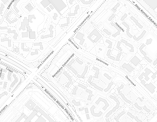 Mapa z adresem organizacji