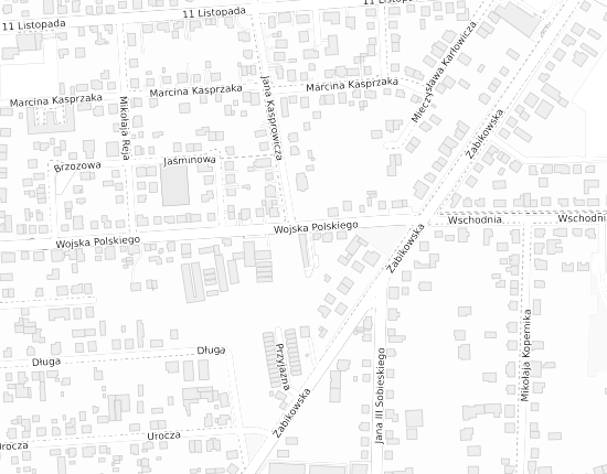 Mapa z adresem organizacji