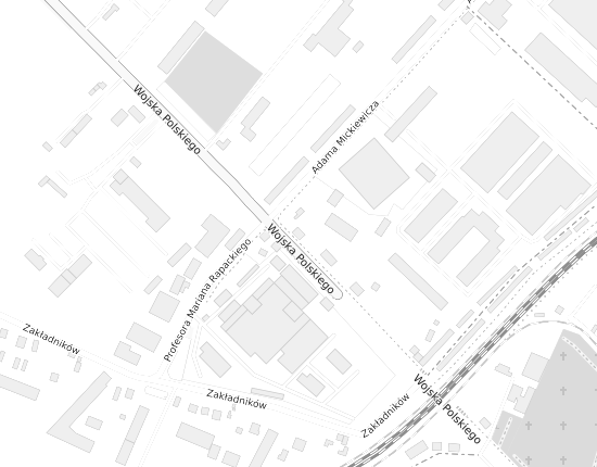 Mapa z adresem organizacji