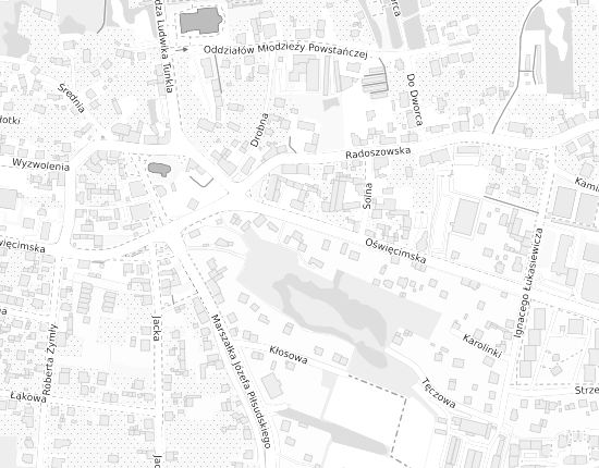 Mapa z adresem organizacji