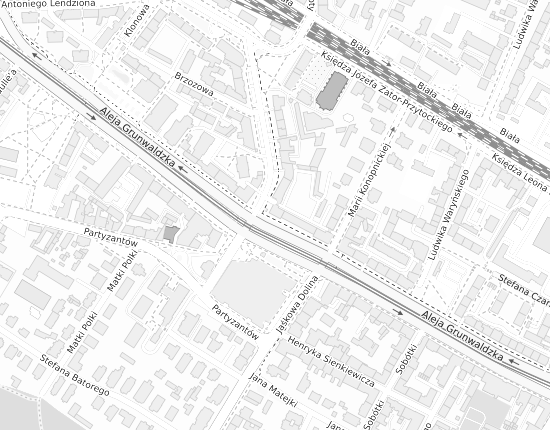 Mapa z adresem organizacji