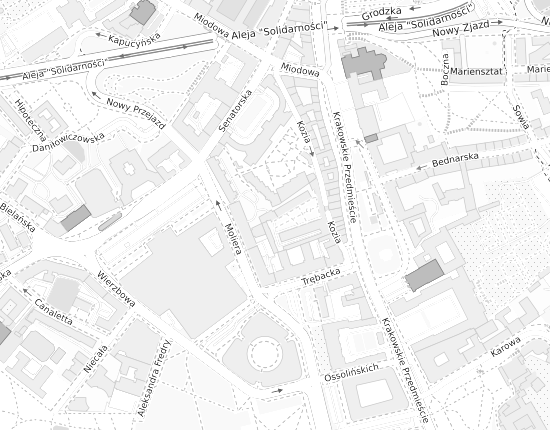 Mapa z adresem organizacji