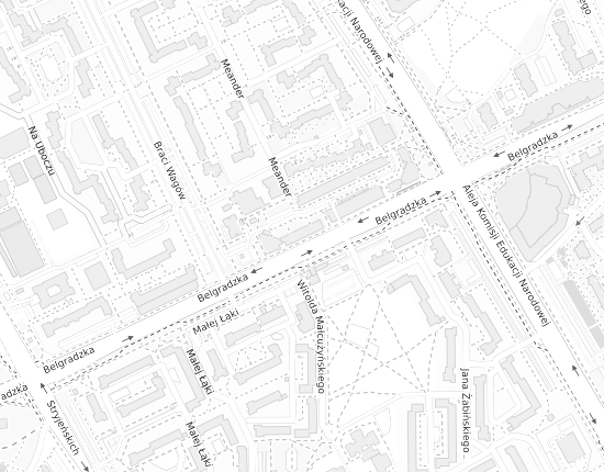 Mapa z adresem organizacji