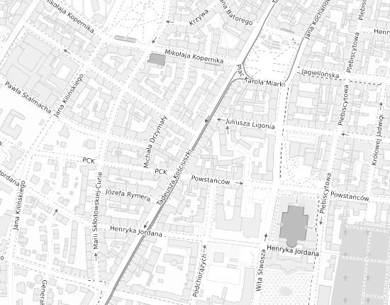 Mapa z adresem organizacji
