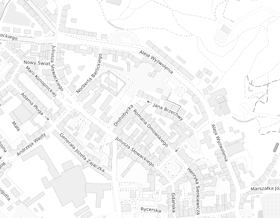 Mapa z adresem organizacji