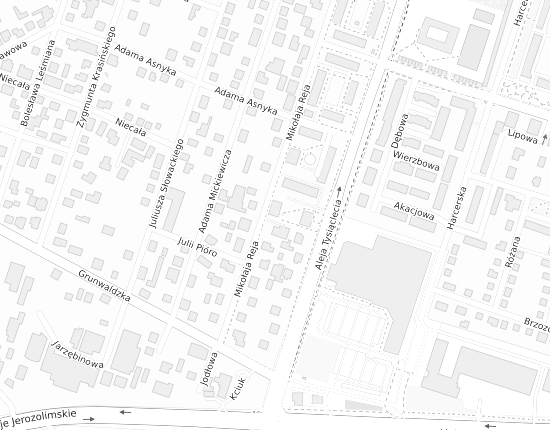 Mapa z adresem organizacji