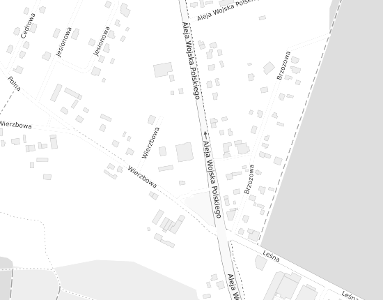 Mapa z adresem organizacji