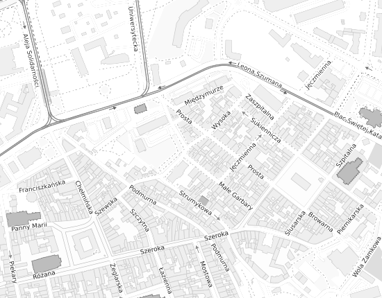 Mapa z adresem organizacji
