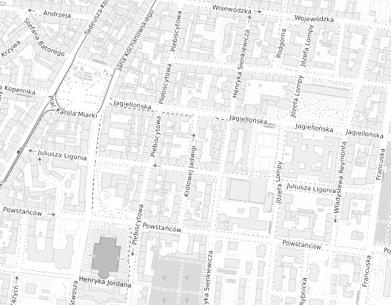 Mapa z adresem organizacji