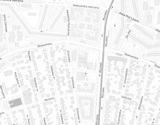 Mapa z adresem organizacji