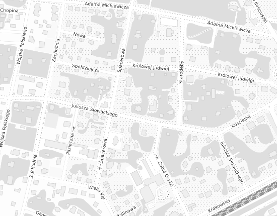 Mapa z adresem organizacji